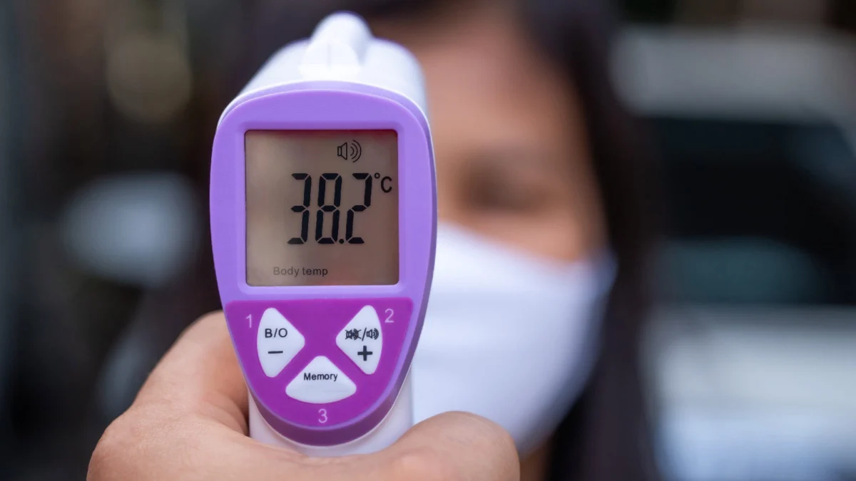 Thailand Strengthens Bio-Security Framework: Hantavirus Classified as Dangerous Communicable Disease