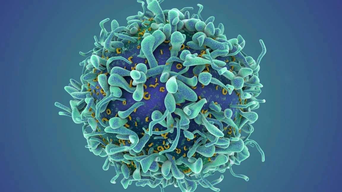 The Cellular Revolution: How CAR T Therapy is Redefining the War on Autoimmune Disease