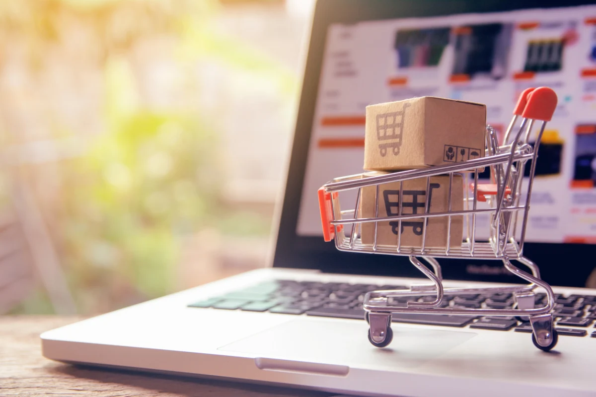 Beyond the Amazon Hegemony: The New Strategic Landscape of German E-commerce