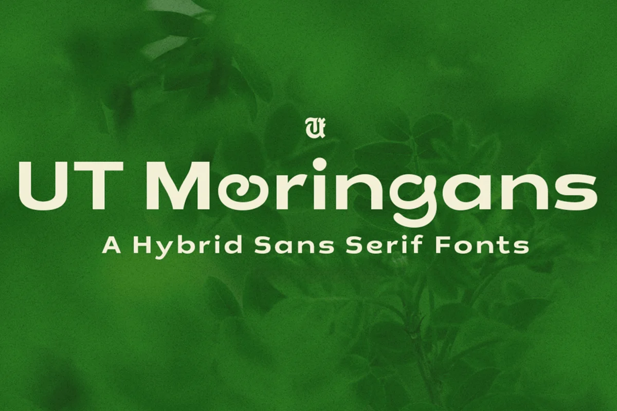 The Art of the Synthesis: How Hybrid Typefaces Are Redefining Modern Brand Identity