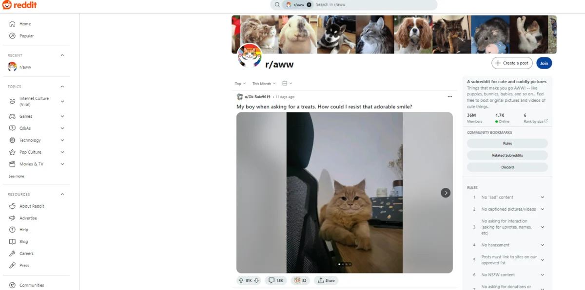 The Truth Engine: Why Reddit Has Become the Ultimate Frontier for Corporate Intelligence