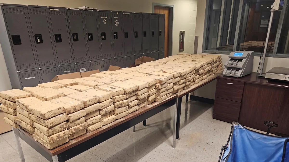 High-Stakes Smuggling: Federal Agents Seize $20 Million in Cocaine Hidden in Commercial Flatbed