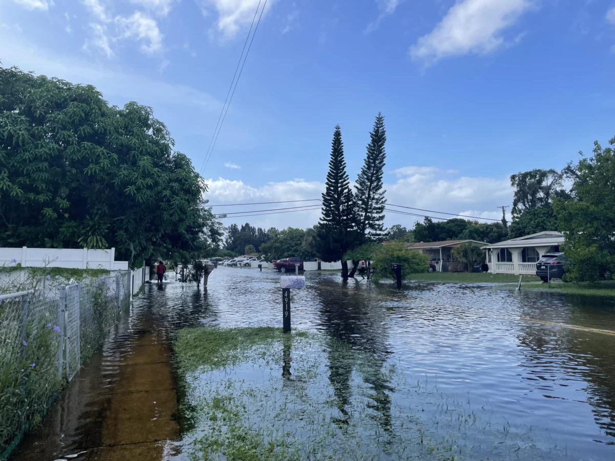 Silent Erasure: How Florida is Reshaping Science Education Amid the Climate Crisis
