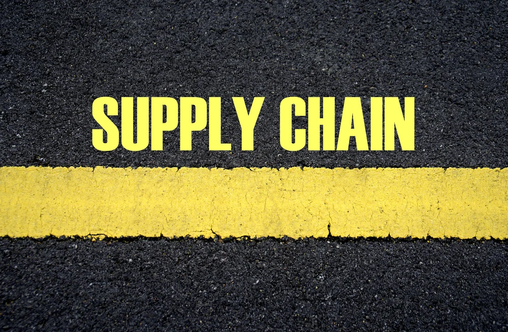 The Fitness of Supply Chains: Why Holistic Strategy Outperforms Point-Solution Improvements