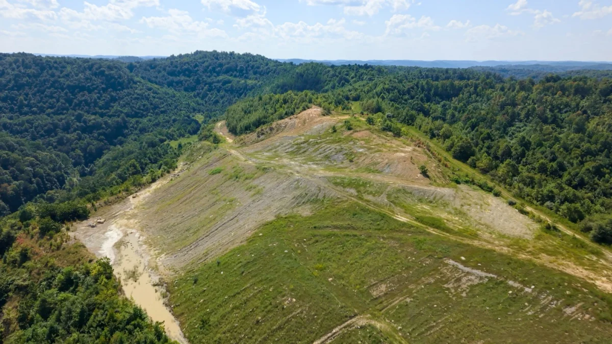 Bridging the Gap: How Corporate Titans are Normalizing Long-Term Carbon Removal Offtakes