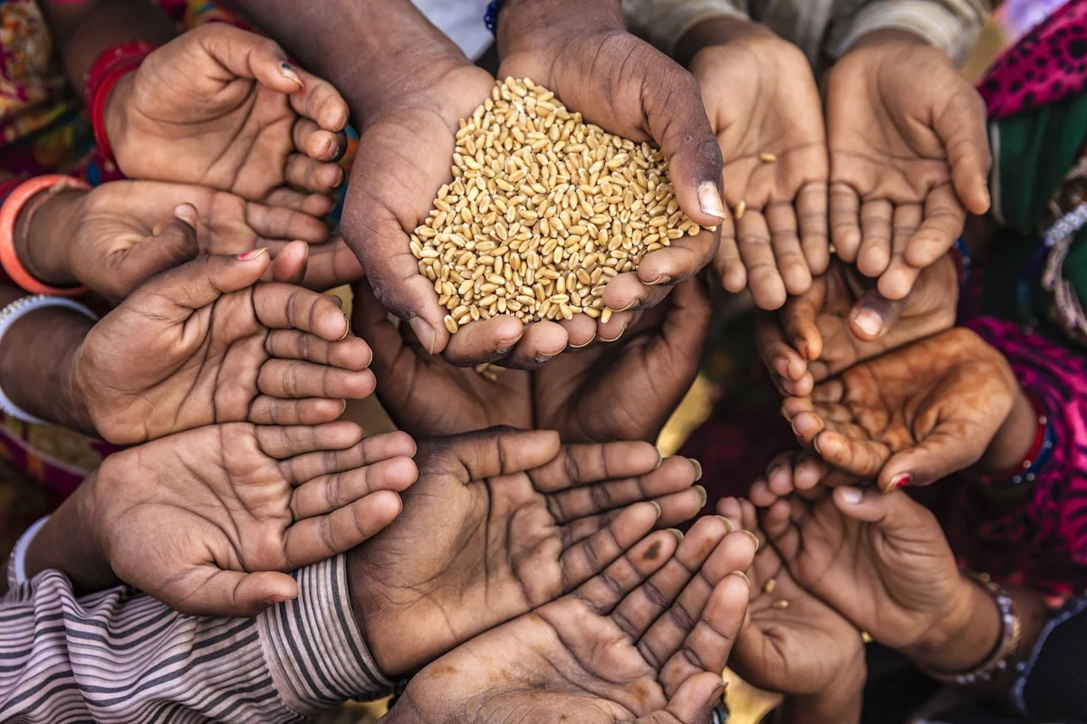 A Tale of Two Worlds: The Uneven Progress of Global Food Security in 2025