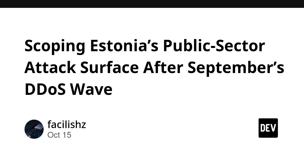 Beyond the DDoS Wave: Scoping the Digital Frontiers of Estonia’s Public Sector