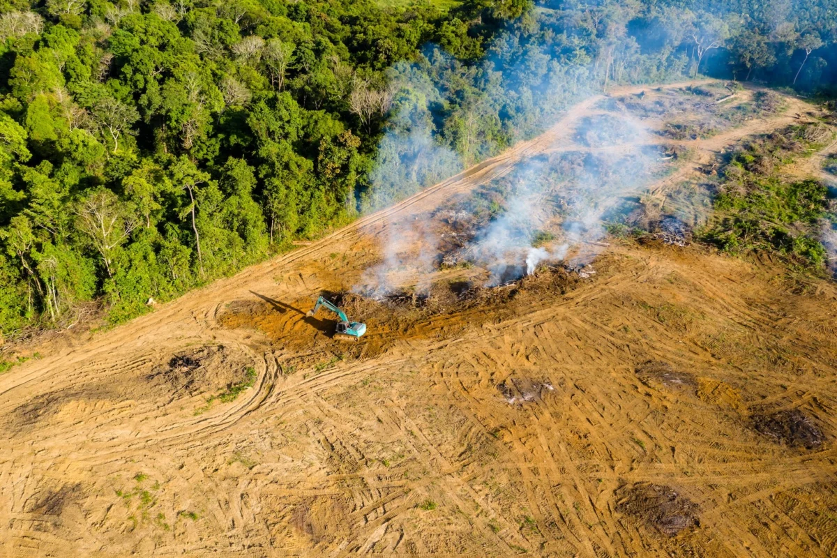 Biodiversity Finance Crisis: Global Targets Missed as COP17 Negotiations Loom