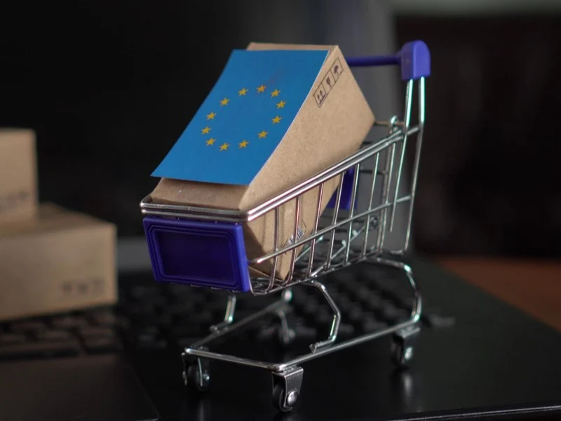 European E-commerce at a Crossroads: Growth Deceleration and the Need for Structural Reform