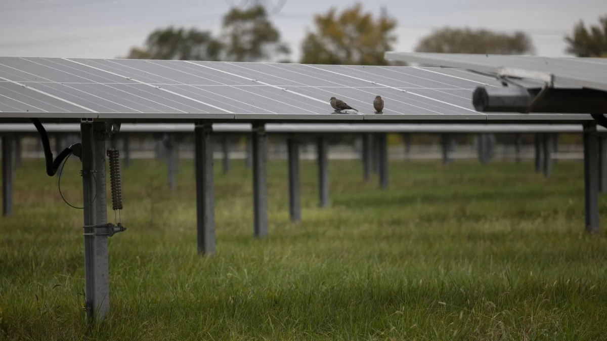 Financing the Transition: How America’s Green Banks Are Navigating a Post-Federal Funding Landscape