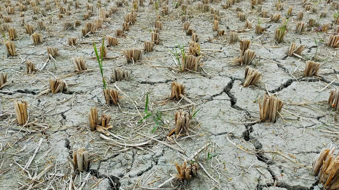 Indonesia Braces for Widespread Meteorological Drought: BMKG Issues Urgent Warnings Across Archipelago