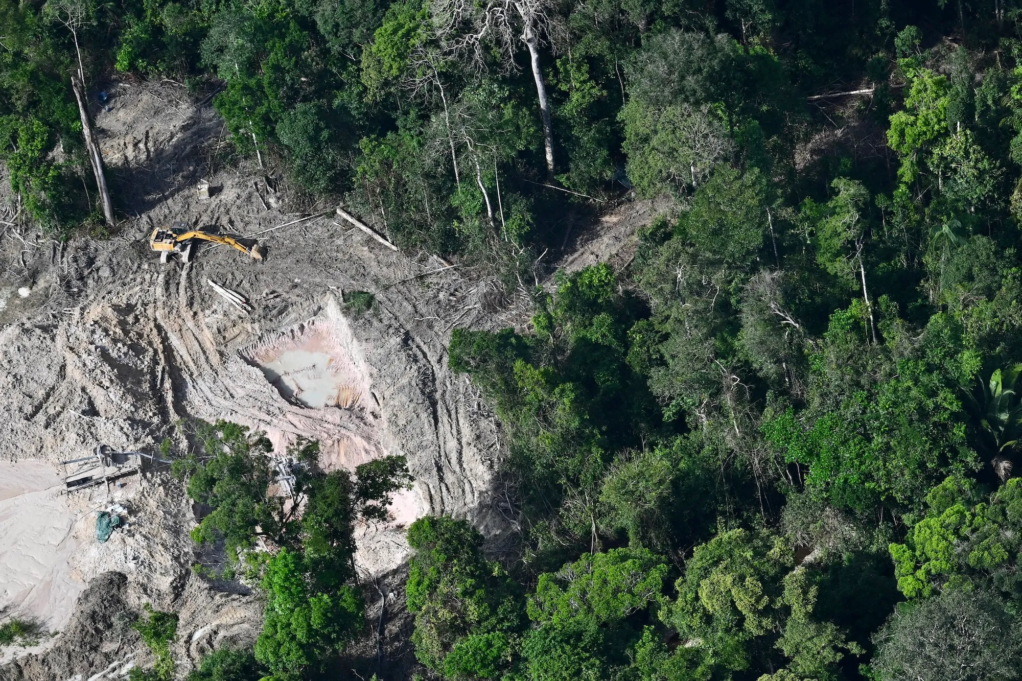 The Amazon at the Ballot Box: Brazil’s Election and the Tipping Point of a Continent
