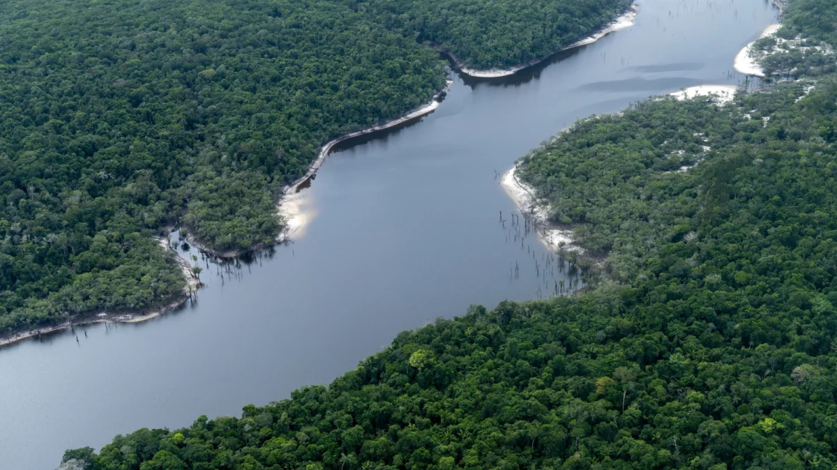 The Amazon at the Precipice: Flavio Bolsonaro’s Surge and the Future of Brazil