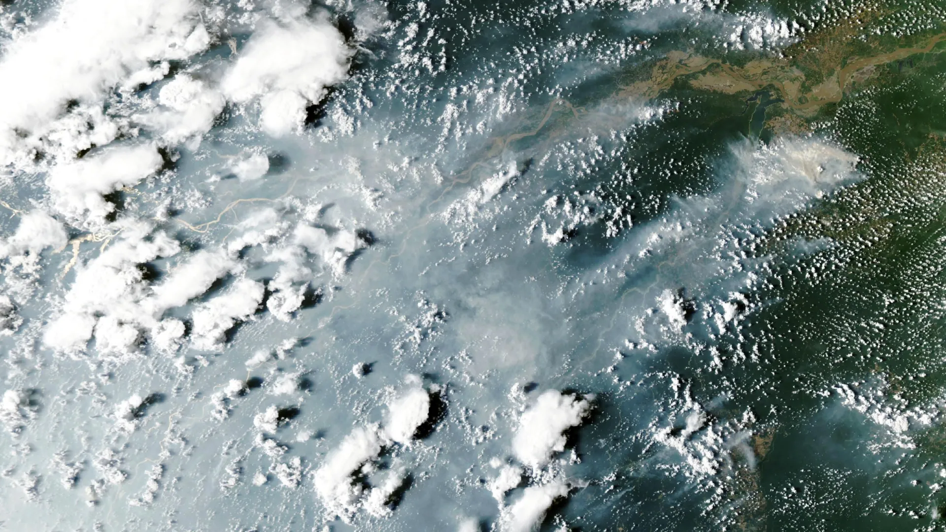 The Amazon’s Climate Crisis: El Niño Triggers a Destructive "Domino Effect" of Wildfires