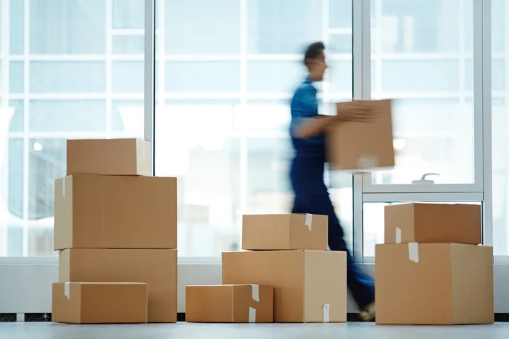 The Counterfeit Tide: EU Intercepts Record 196 Million Illicit Items as E-commerce Challenges Mount