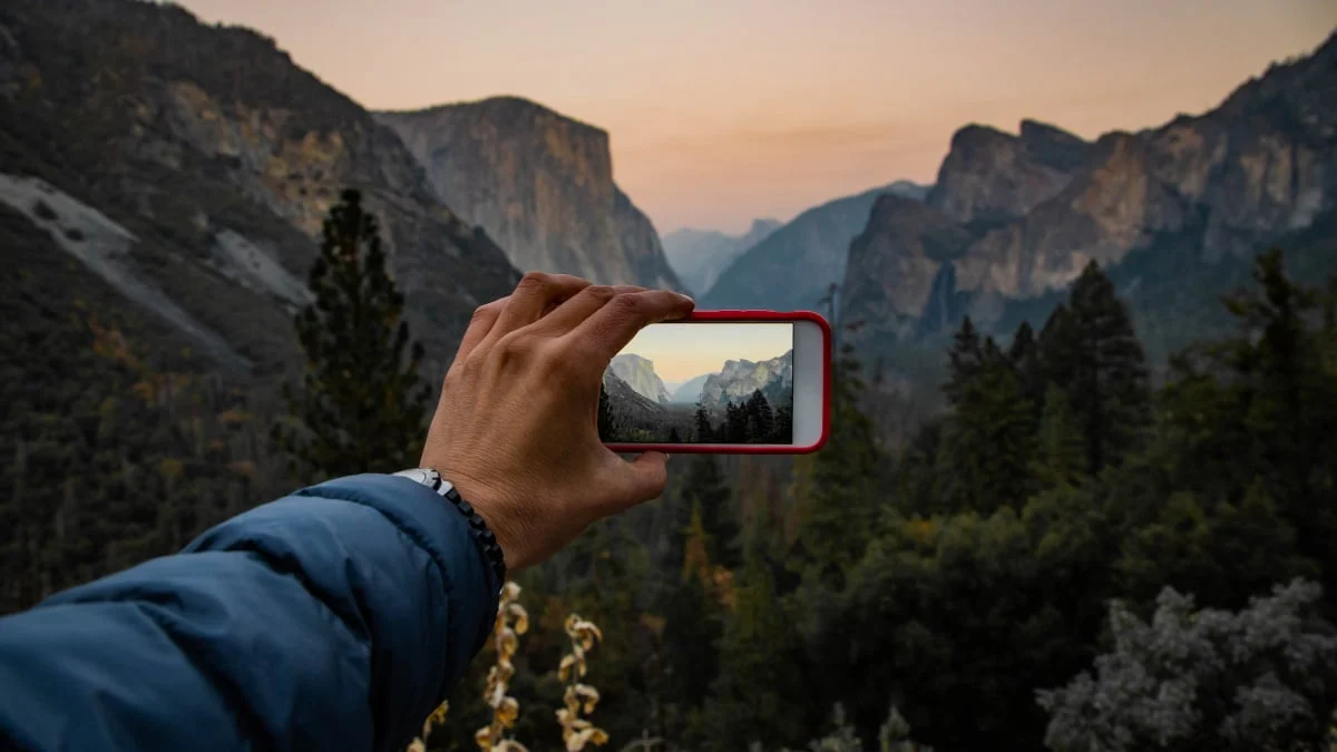 The Digital Antidote: How ‘Bloomscrolling’ is Rewiring Our Relationship with Social Media