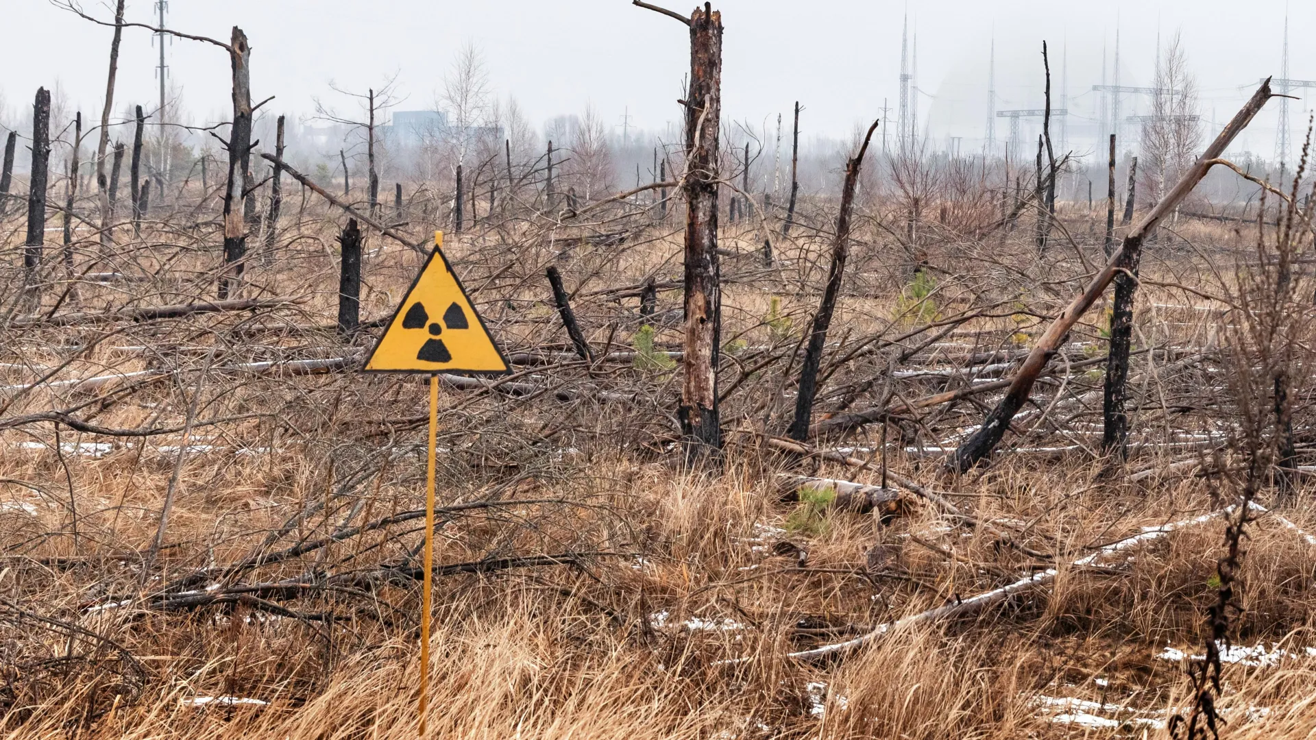 The Enduring Enigma: New Insights into Chornobyl’s Radioactive Legacy