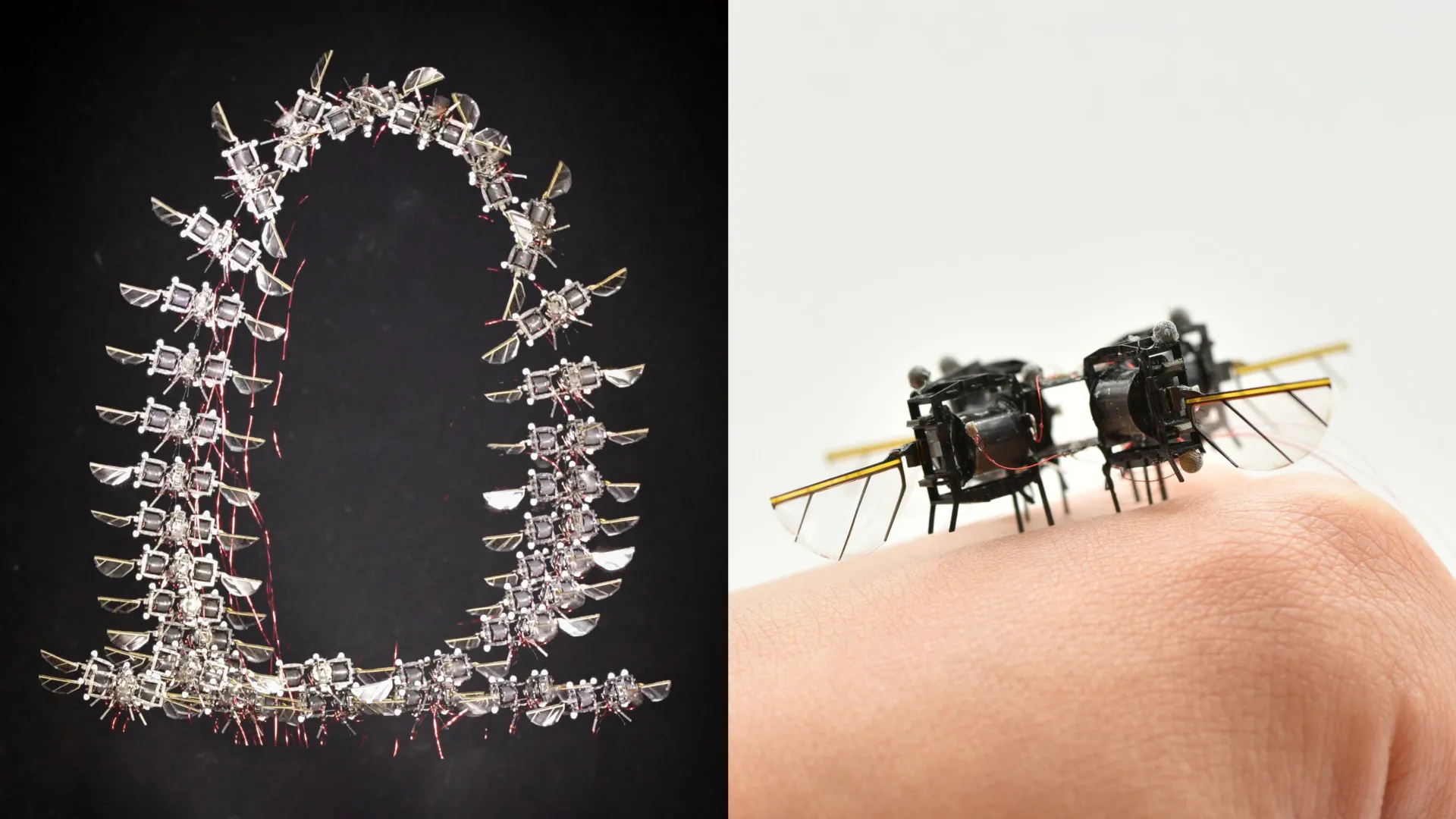 The Future of Search and Rescue: How MIT’s New AI-Driven Microrobots are Closing the Gap with Nature
