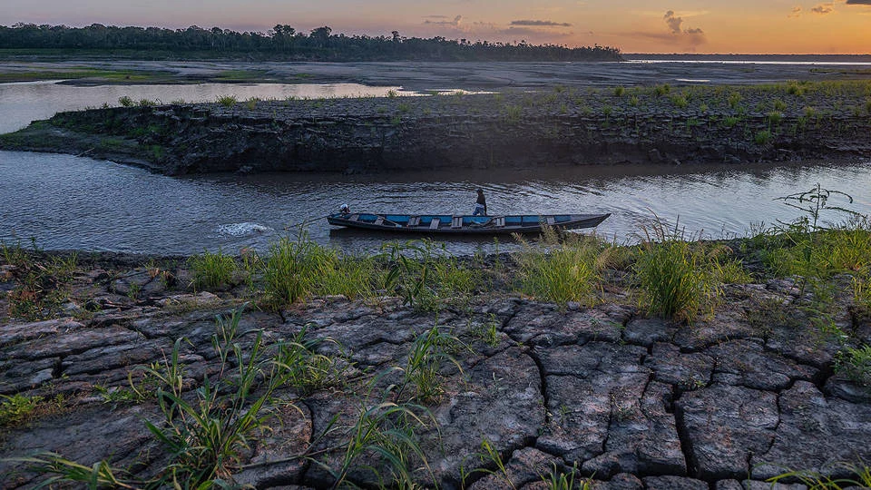 The Nature Paradox: Why Economic Security Depends on Environmental Resilience