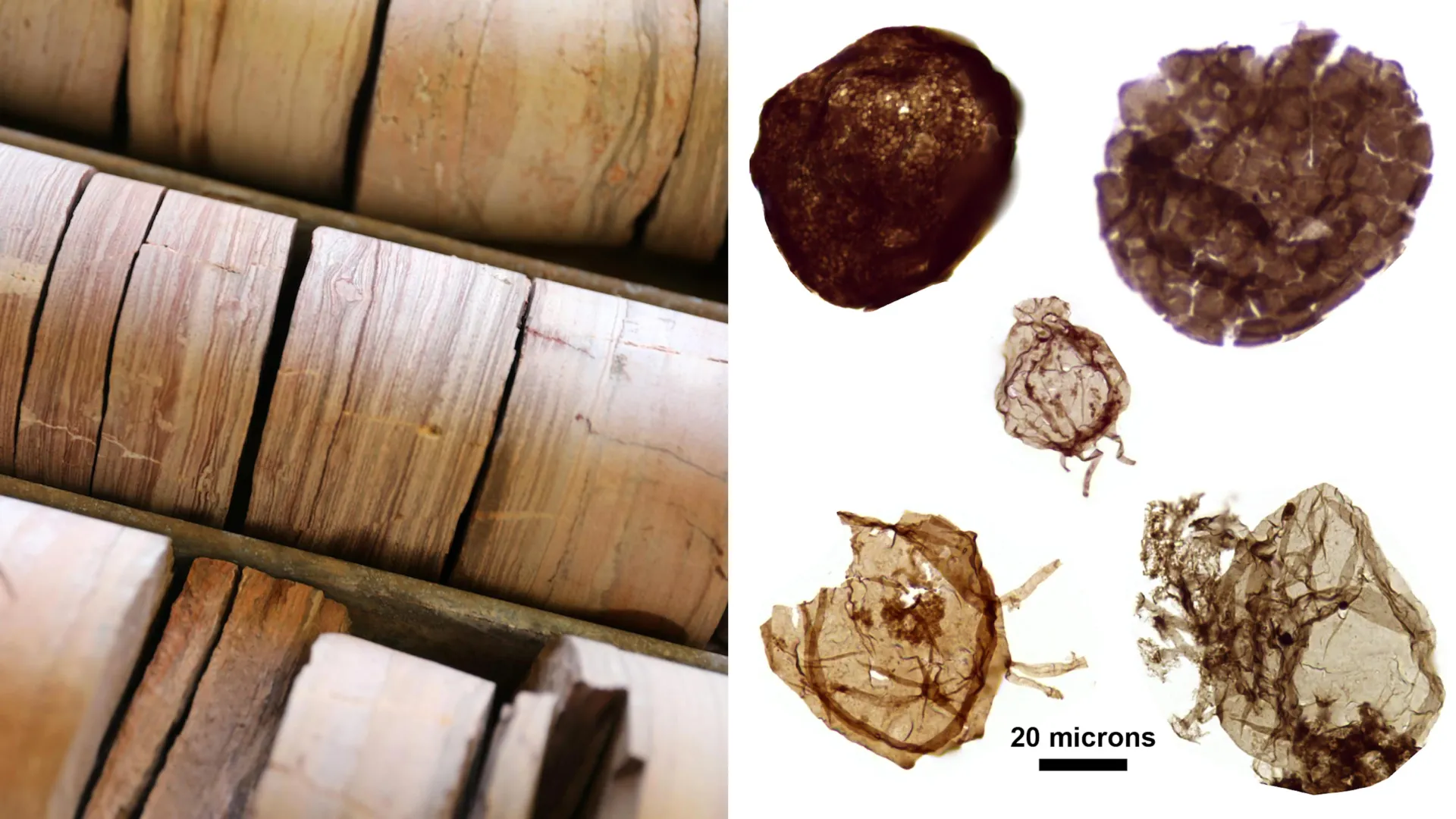 The Oxygen Threshold: How Ancient Australian Rocks Rewrote the Story of Complex Life