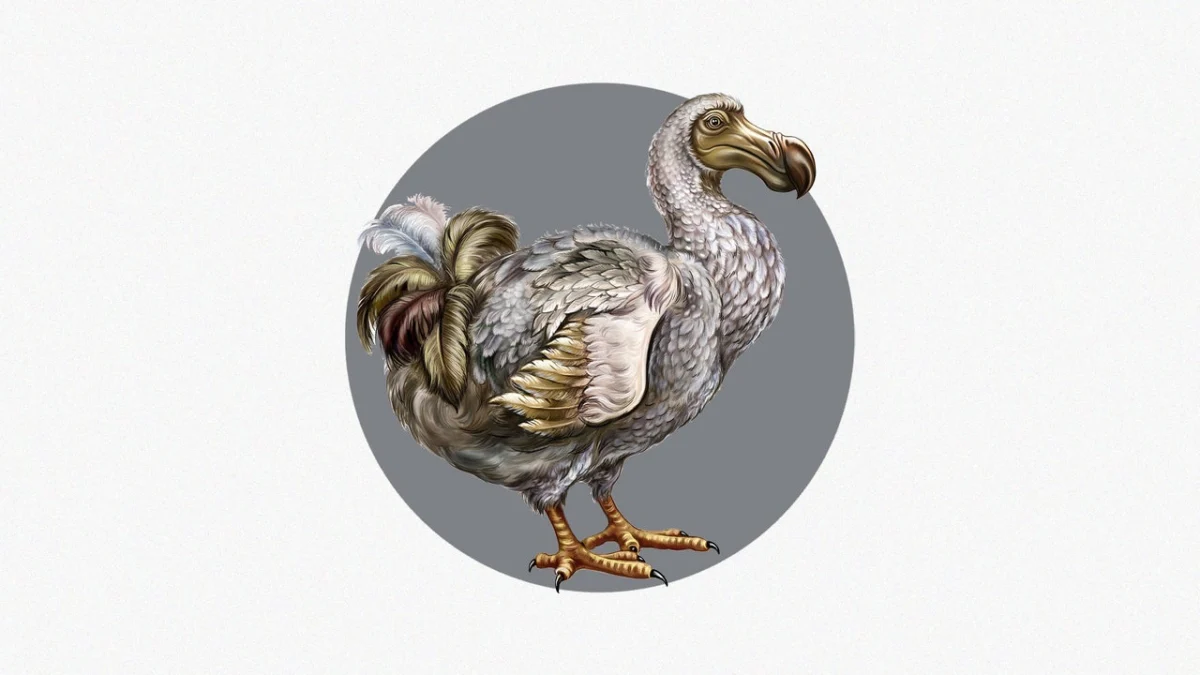 The Resurrection Architects: Colossal Biosciences and the Quest to Reclaim the Dodo