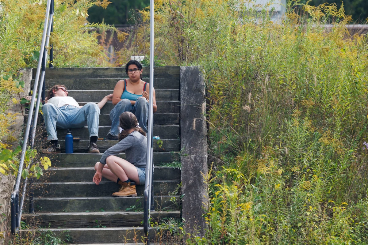 The Silent Campus: Higher Education’s Slow-Motion Collapse