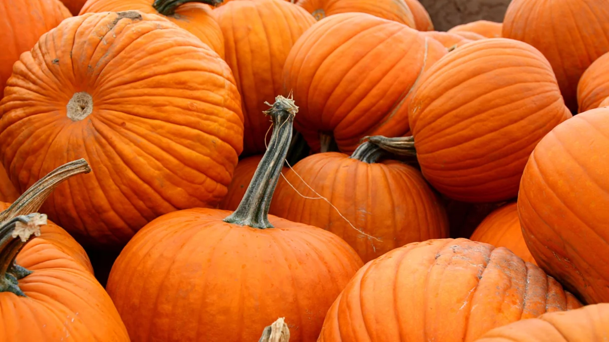 The Spooky Season Shift: Why Halloween Marketing is Now a Multi-Month Marathon