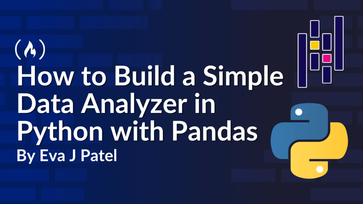 Unlocking Insights: A Professional Guide to Building Your First Python Data Analyzer