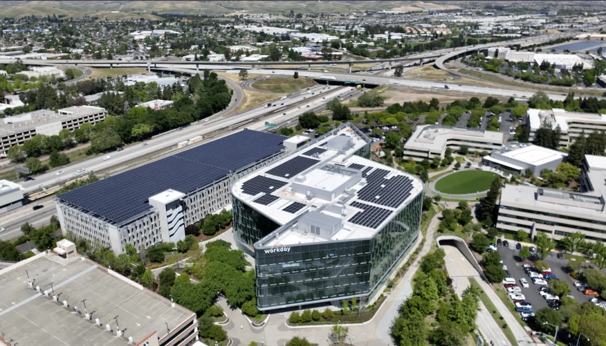 Workday’s Decarbonization Evolution: A New Blueprint for Enterprise Sustainability